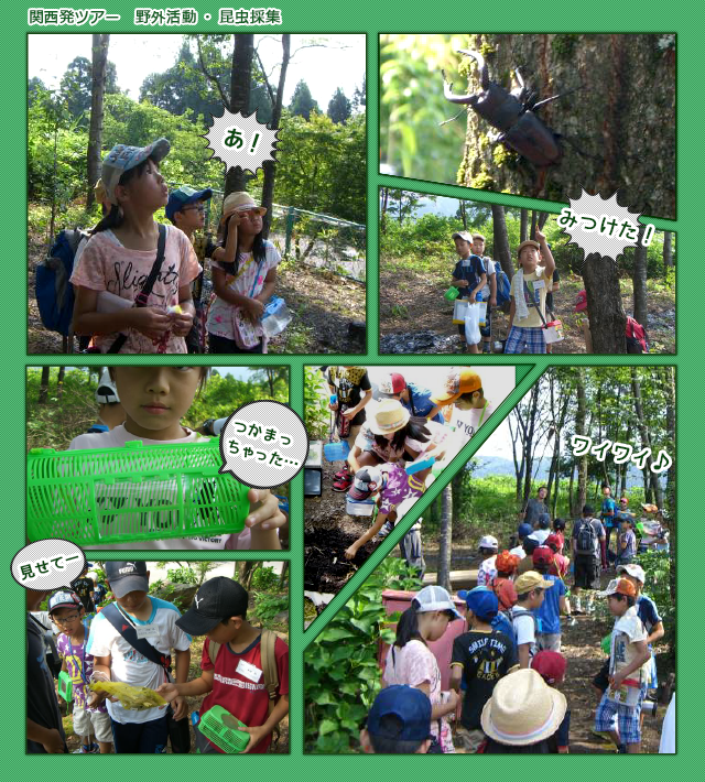 関西発ツアー、野外活動・昆虫採集